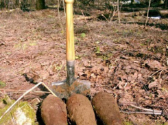 В Воронежской области найдено более 100 снарядов времен Великой Отечественной войны
