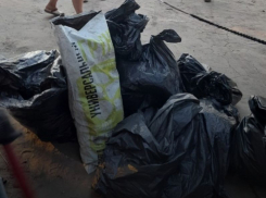 Берег реки Усманки около парка в Отрадном расчистили от мусора под Воронежем