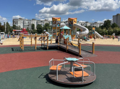 Воронежцев пригласили на торжественное открытие новой большой детской площадки в парке Победы