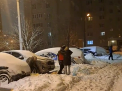 Объединились назло стихии: воронежцы взяли инициативу в свои руки, посрамив укашки