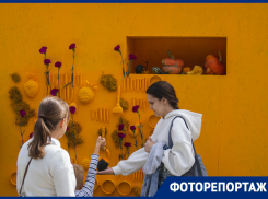 Очень много людей, зато Николай Дроздов: как выглядит «Город-сад» в 2022 году