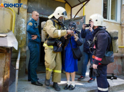 Провалились третьи торги на закупку 17 тыс противогазов за 52 млн рублей в Воронеже