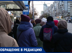 Нереальную задачу ставит перед воронежцами «общественный мифический транспорт»