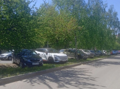 Хамской парковкой посетителей зоопарка возмутились жители Воронежа