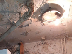 Воронежцы из дома с «космической коммуналкой» живут в плесени и разрухе