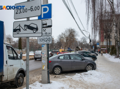 Мэрия Воронежа стала больше зарабатывать на «Горпарковках», но сумма всё равно смешная