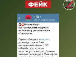 Фейк о контроле властей за скоростью интернета через «Госуслуги» распространили в Воронеже
