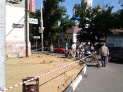 Забота властей толкает воронежцев под машины