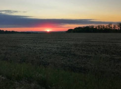 Заблудившийся воронежский пенсионер пятеро суток бродил по полю