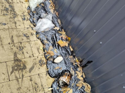 Странная черная жижа захватывает тротуар в Воронеже