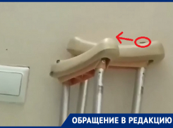 Забег таракана по палате «Электроники» и объяснения воронежского облздрава: почему не получается убить их всех 