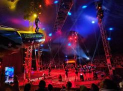 «Демидов шоу» в Воронеже: цирковая магия и незабываемые эмоции