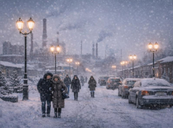 Когда зима оставит в покое Воронежскую область, ответили синоптики