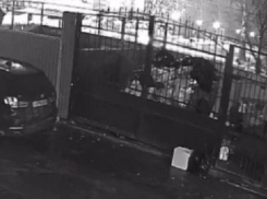 Парень отправился выбросить мусор и стал героем соцсетей в Воронеже