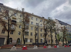 Зеленый Воронеж - два шага до города-пустыни