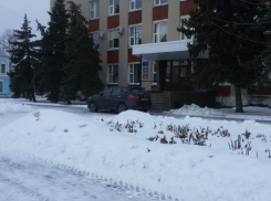 Воронежцы пожаловались на мэра Калача, паркующегося «где ему захочется»