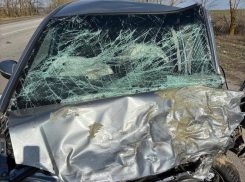 Четверо взрослых погибли, один ребёнок пострадал в лобовом ДТП в Воронежской области