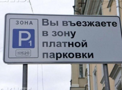 Петиция за сокращение платных парковочных мест в Воронеже с треском провалилась