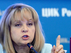 В ЦИК проследят за подозрительными перемещениями воронежских избирателей