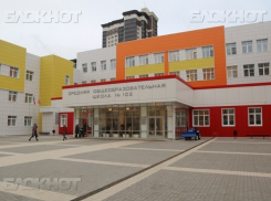 Воронежские родители рассказали, на чем 102-я школа загребет миллион