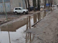 Мэрия посоветовала воронежцам бороться с вечными лужами нацпроектом