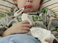 Вспышка гриппа и ОРВИ привела к врачам 19 тыс воронежцев за неделю