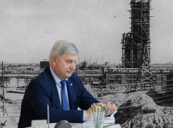 Первую тонну каучука 91 год назад произвел завод, который воспитал воронежского губернатора