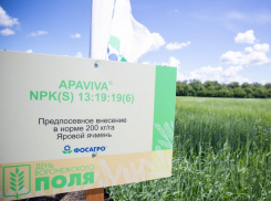 Урожаи растут: воронежские аграрии рассказали, благодаря чему добиваются успехов на своих полях