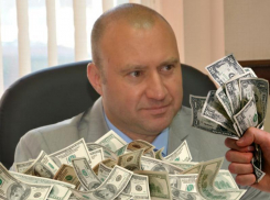 Самого бедного депутата заинтересовали деньги воронежских бизнесменов