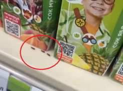 Нашествие муравьёв на детский сок сняли в воронежском супермаркете