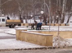 В Воронеже начали устанавливать еще одну главную елку