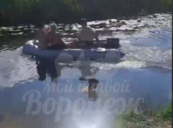 “Голая вечеринка” на лодке возмутила воронежцев