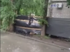 «Говном обтекаем с двух сторон»: смердящая река портит жизнь воронежцам на левом берегу 