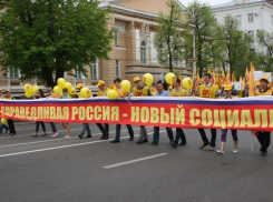 Воронежские эсеры вышли на митинг против беспредела в ЖКХ (ФОТО)