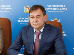 Названы партии, которым не придется собирать подписи на выборах в облдуму в 2025 году