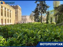 Позеленевший Воронеж после зимнего апокалипсиса попал в объектив фотографа