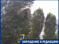 Спрятавшийся в деревьях светофор провоцирует ДТП в Воронеже