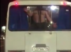 Безудержное веселье с головой накрыло пассажира воронежской маршрутки