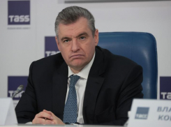 В ЛДПР нашли способ повысить эффективность местной власти