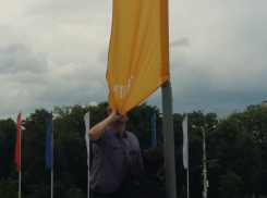 Воронежец покусал флаг Платоновфеста напротив областного правительства