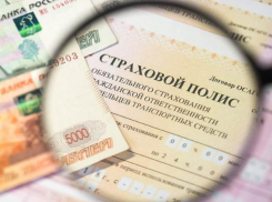 Активисты выяснили, можно ли без проблем получить ОСАГО в Воронеже