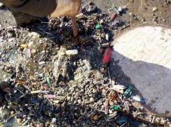 В Воронеже рассказали, чем чаще всего забивается канализация