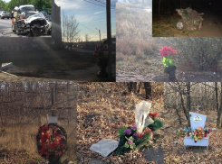 Пока воронежские чиновники ищут деньги, «дорога смерти» уносит жизни водителей и пешеходов