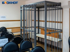 За разорение воронежских семей лже-кредитор отправится в тюрьму на 13 лет