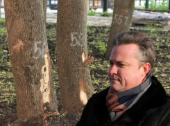 В экологическом вандализме при ремонте «Орленка» разберутся Генеральная прокуратура и президент