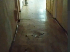 Нет света и рваный линолеум: горожанку огорчило состояние родной школы в Воронеже в день выборов