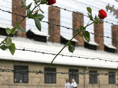 Бывшие узницы концлагеря Аушвиц прибудут на выставку в Воронеж