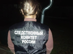 Озвучен приговор воронежцу, который изнасиловал и убил 74-летнюю помощницу воронежского депутата 