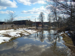 В Воронежской области весенним паводком затопило более 200 приусадебных участков