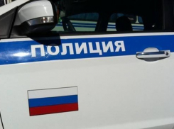 В Воронежской области водитель-нарушитель попытался подкупить полицейского